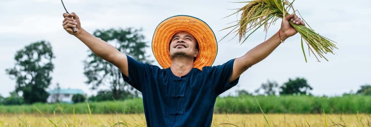 爱游戏linchengan