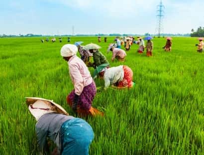 爱游戏linchengan