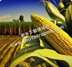 关注体育前沿，洞悉行业趋势 - 爱游戏linchengan