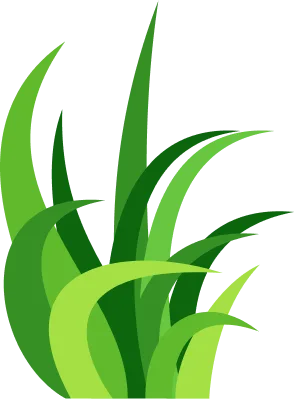 实时比分更新频率？ - 爱游戏linchengan